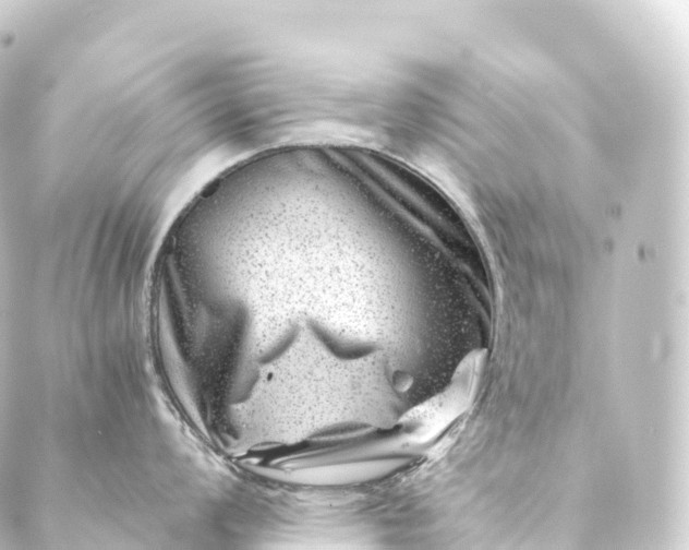 X0000088891008200706221835