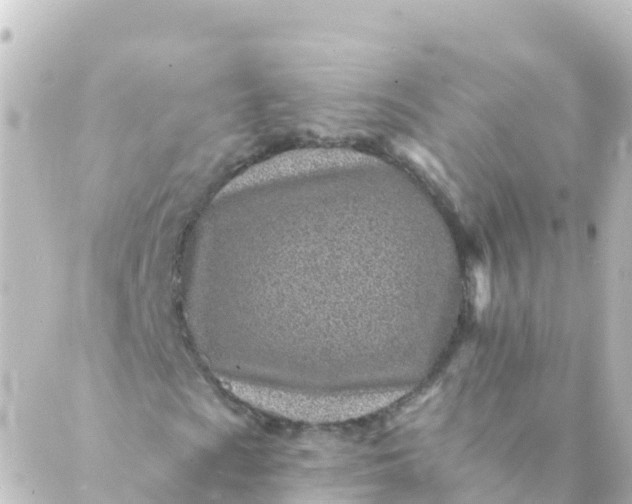 X0000088891009200706221834