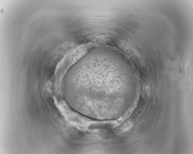 X0000088891010200706221834