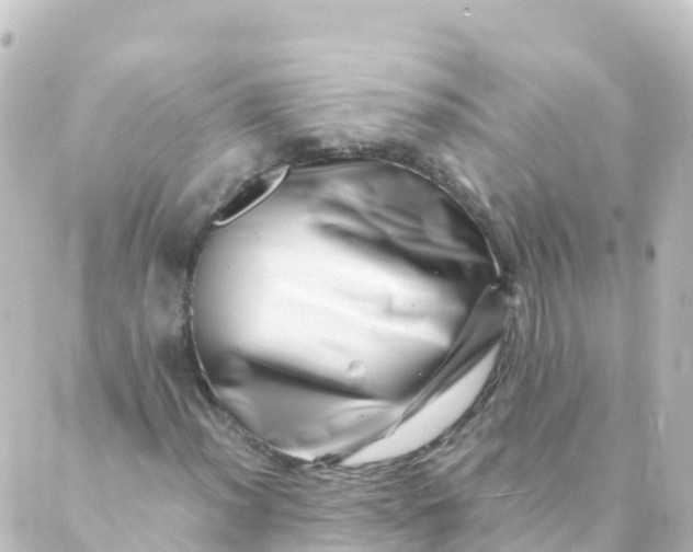 X0000088891012200706221834