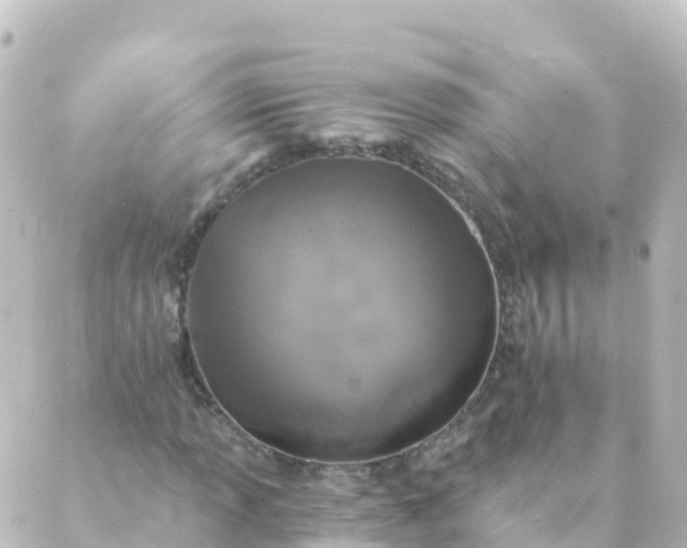 X0000088891013200706221834