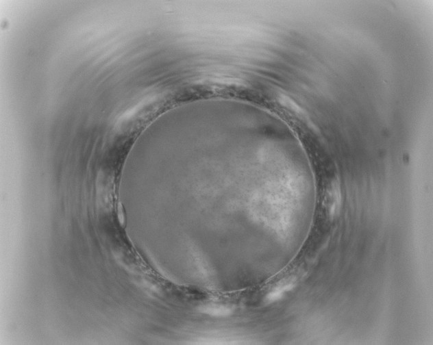 X0000088891014200706221834