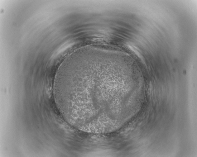 X0000088891015200706221834