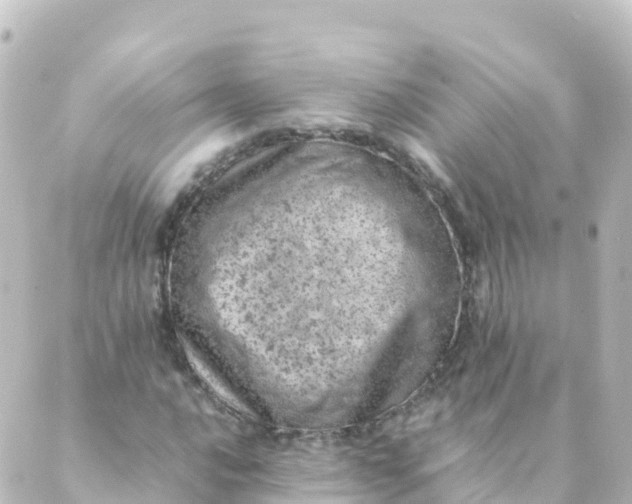 X0000088891016200706221834