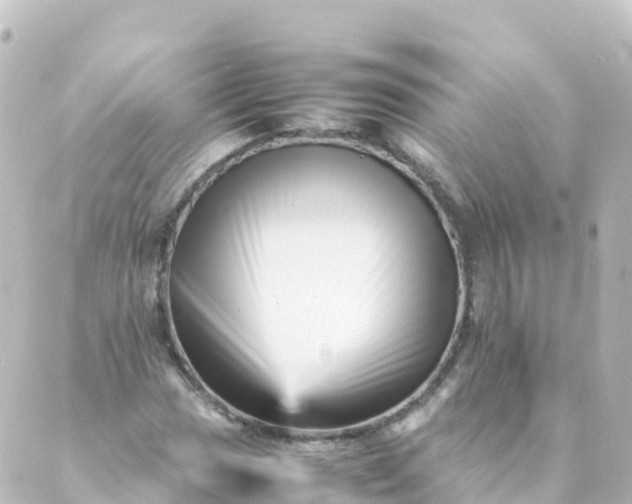 X0000088891017200706221834