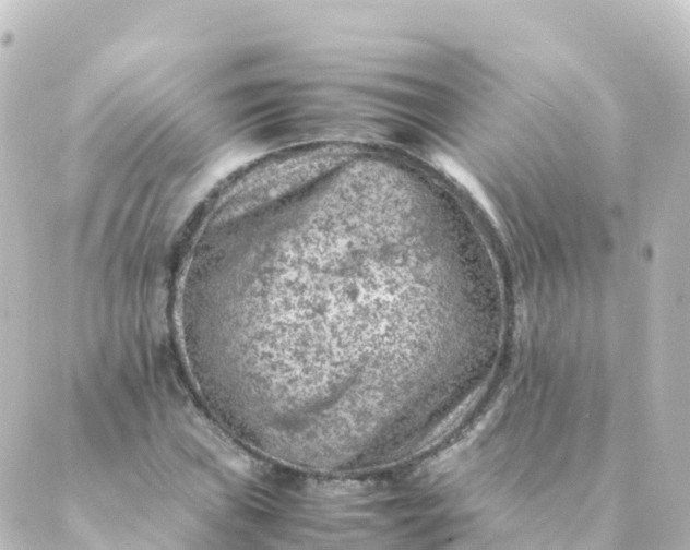 X0000088891019200706221834