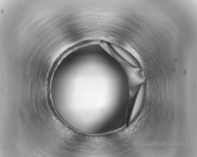 X0000088891020200706221834