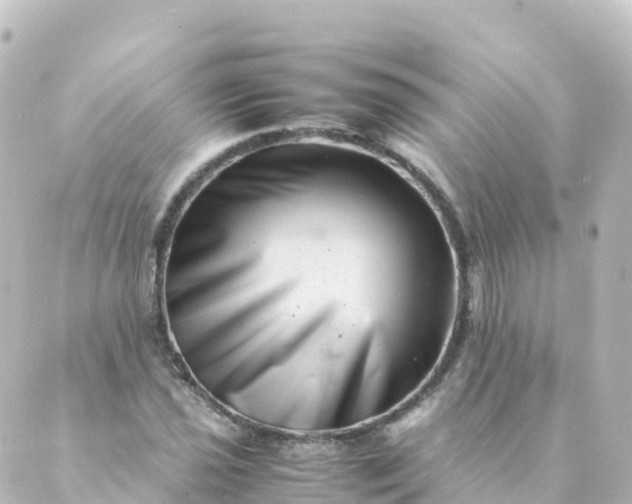 X0000088891021200706221834