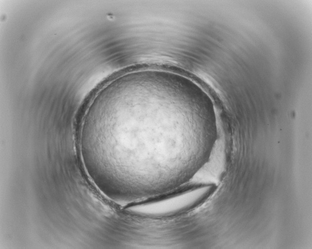 X0000088891022200706221834