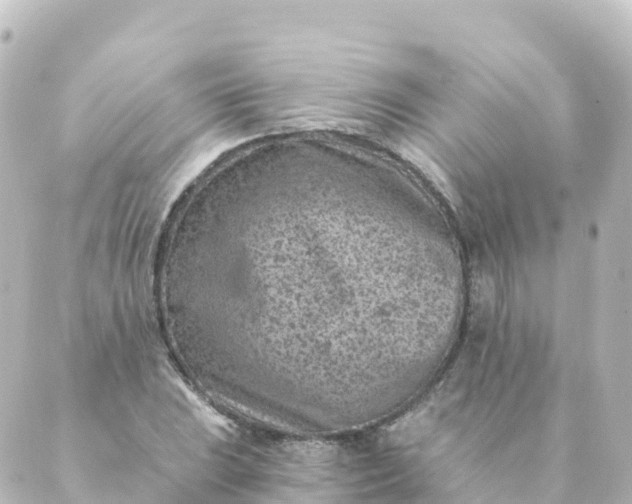 X0000088891023200706221834