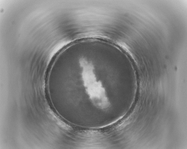 X0000088891024200706221834