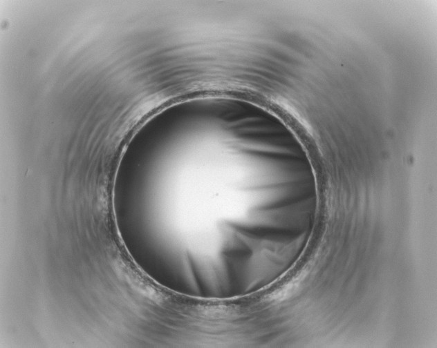 X0000088891025200706221834