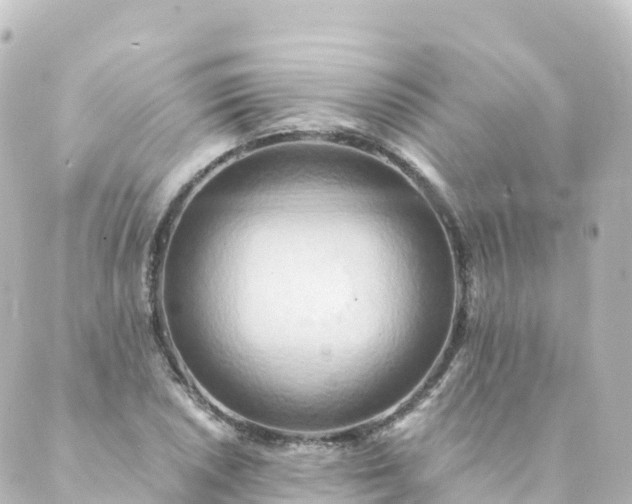 X0000088891026200706221835