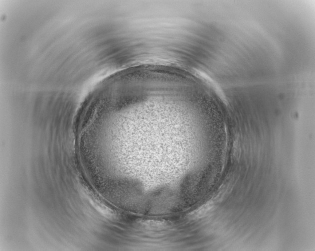 X0000088891027200706221835