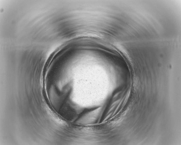 X0000088891028200706221835