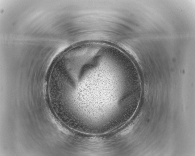 X0000088891029200706221835