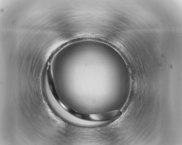 X0000088891030200706221835