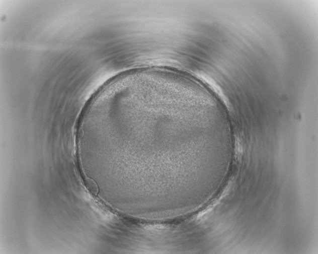 X0000088891031200706221835