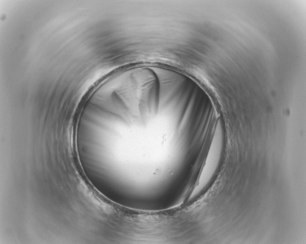 X0000088891032200706221835