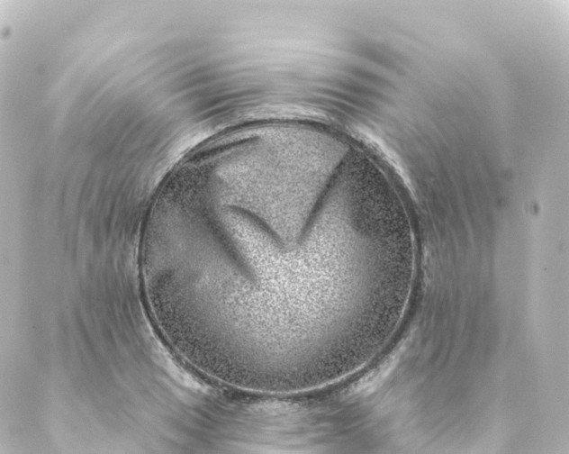 X0000088891033200706221835