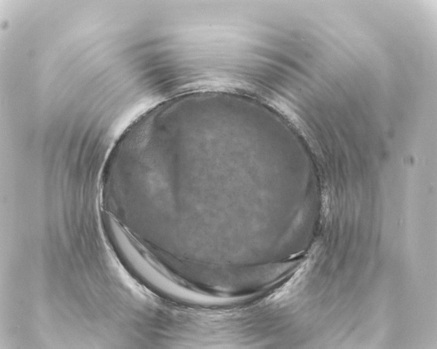 X0000088891034200706221835