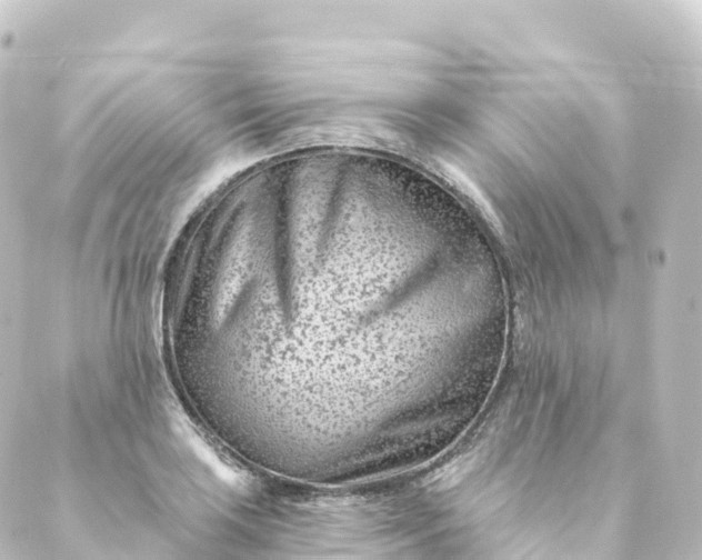 X0000088891035200706221835