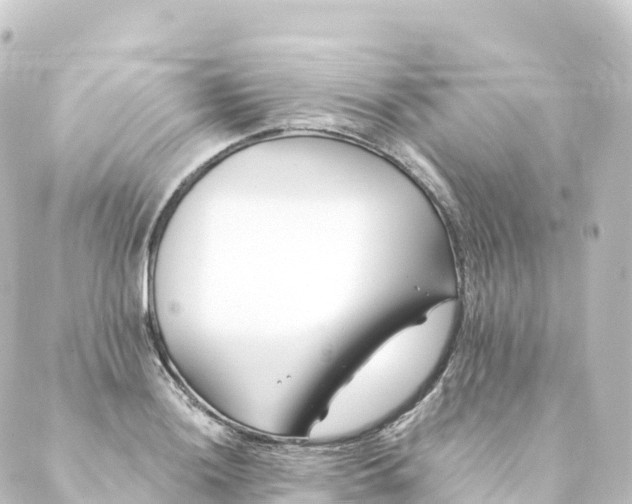 X0000088891036200706221835