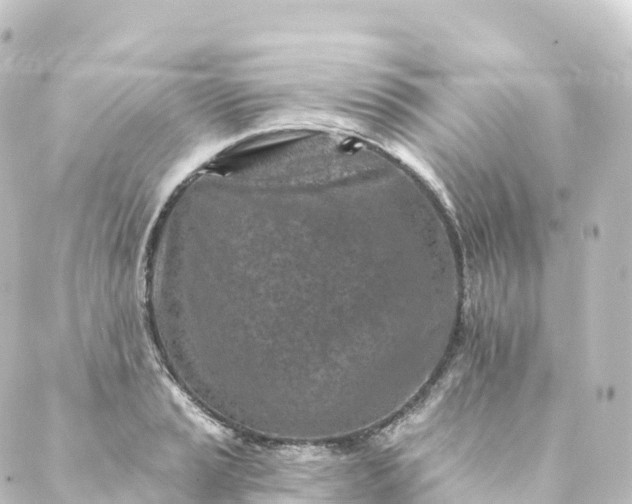 X0000088891037200706221835