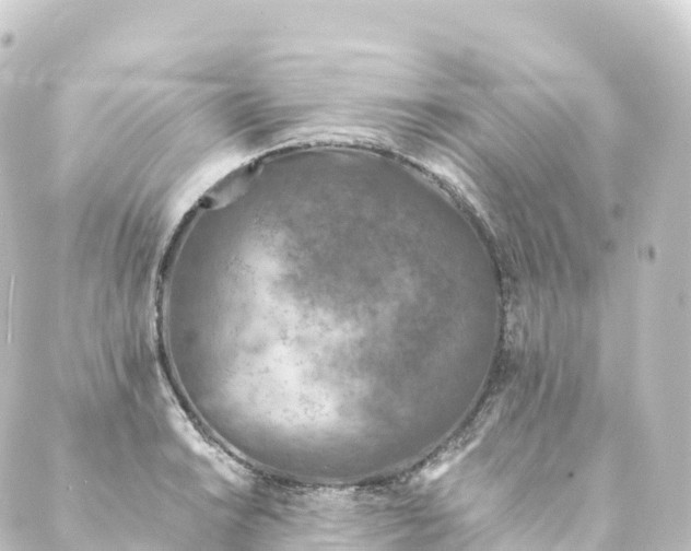 X0000088891038200706221835