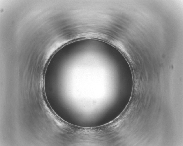 X0000088891040200706221835