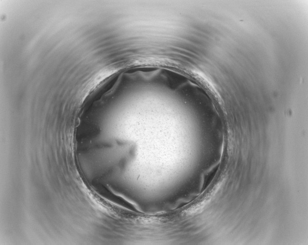 X0000088891041200706221835