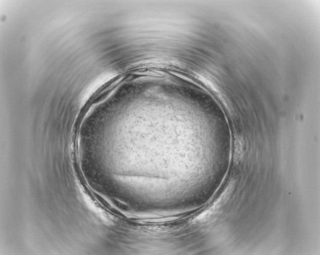 X0000088891042200706221835