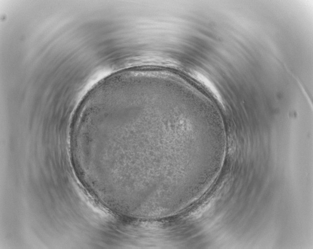 X0000088891043200706221835