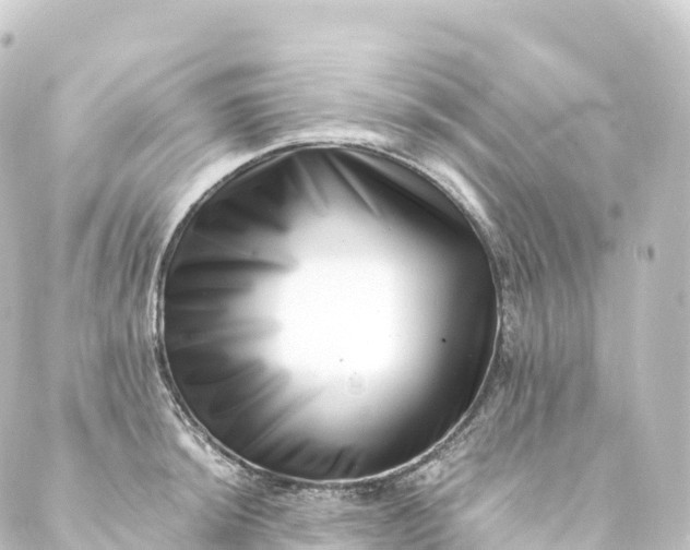 X0000088891044200706221835