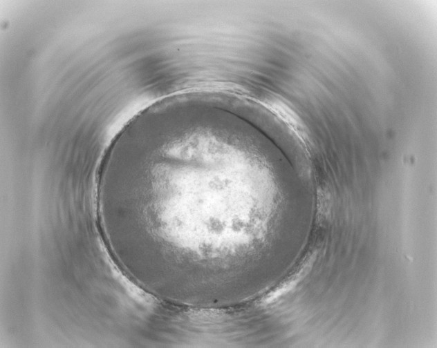 X0000088891046200706221835