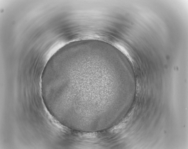 X0000088891047200706221835