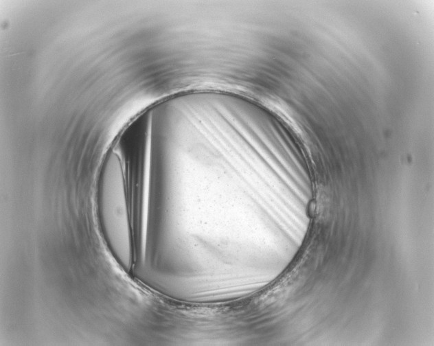 X0000088891048200706221835