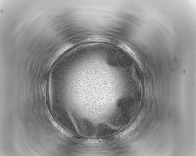 X0000088891049200706221835