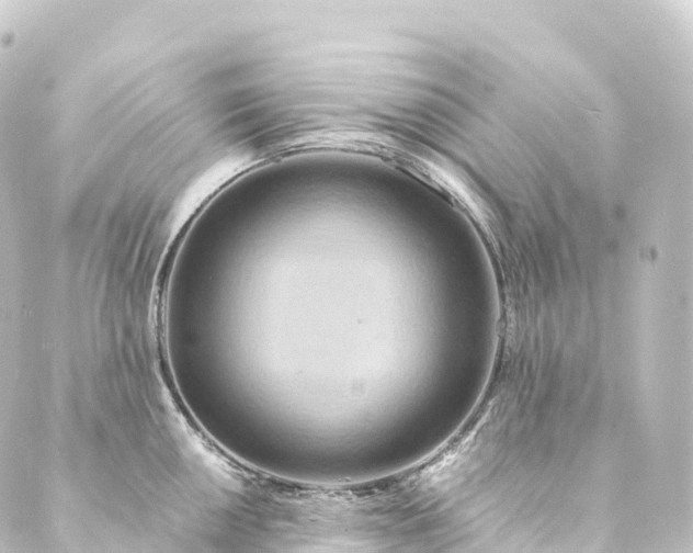 X0000088891050200706221835