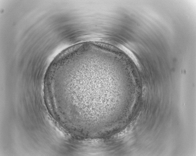 X0000088891051200706221835