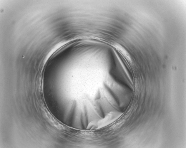 X0000088891052200706221835