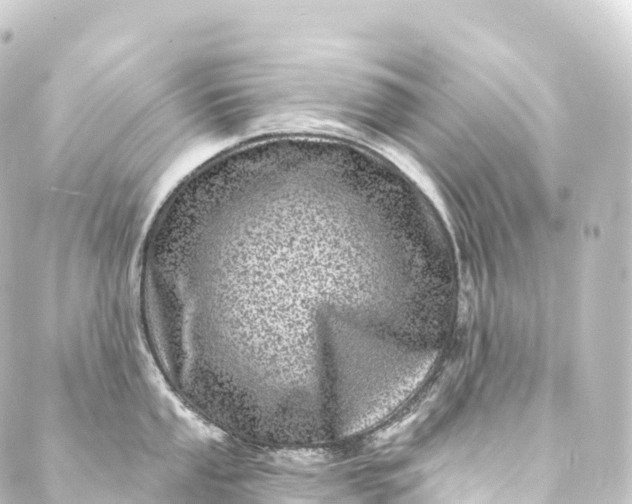 X0000088891053200706221835