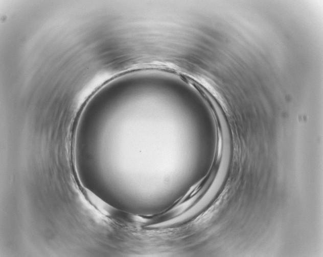 X0000088891054200706221835