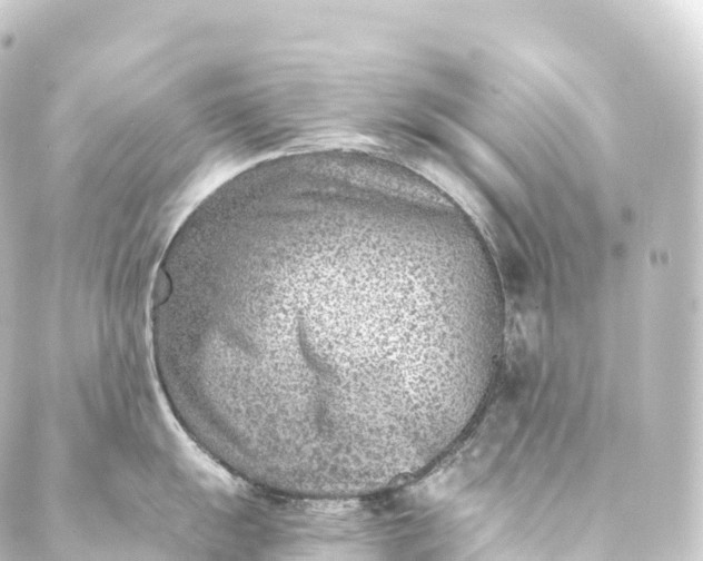 X0000088891055200706221835