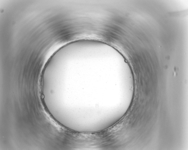 X0000088891056200706221835