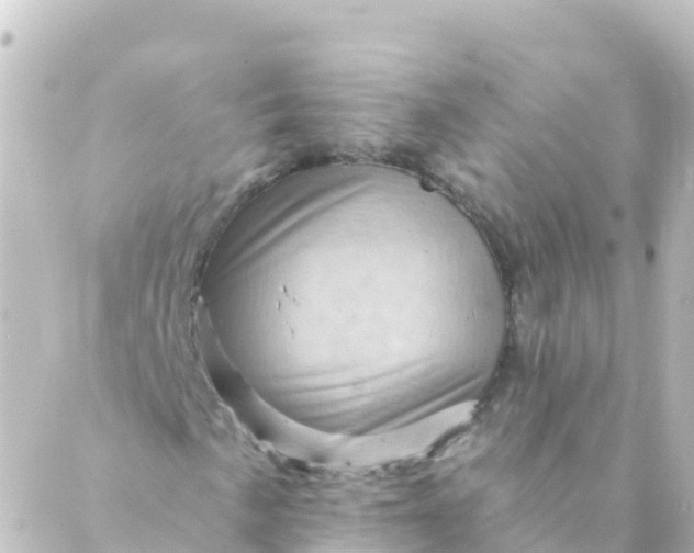 X0000088891057200706221834