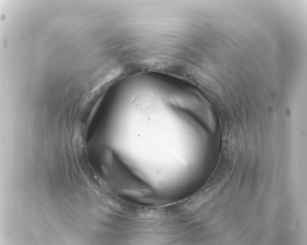 X0000088891058200706221834