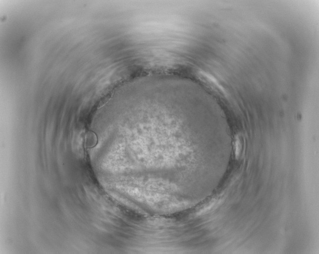 X0000088891059200706221834