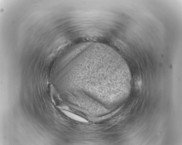 X0000088891060200706221834