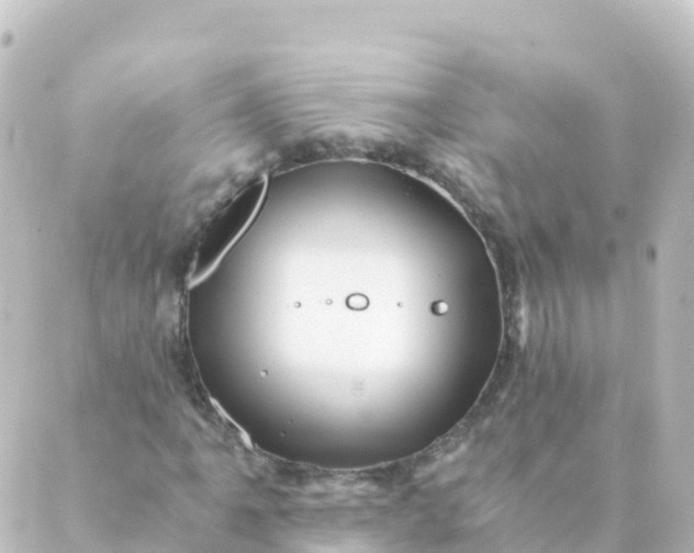 X0000088891061200706221834